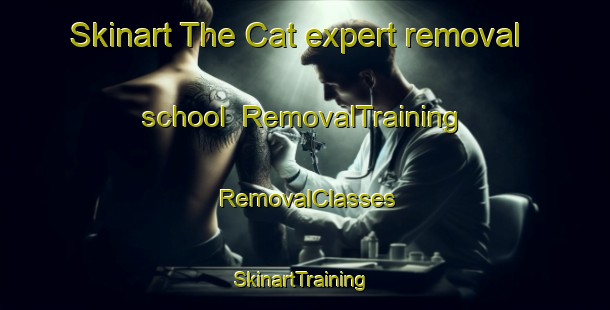 Skinart The Cat expert removal school | RemovalTraining | RemovalClasses | SkinartTraining-Turkey