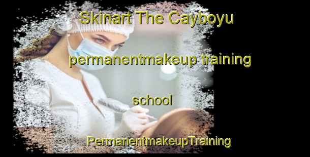 Skinart The Cayboyu permanentmakeup training school | PermanentmakeupTraining | PermanentmakeupClasses | SkinartTraining-Turkey