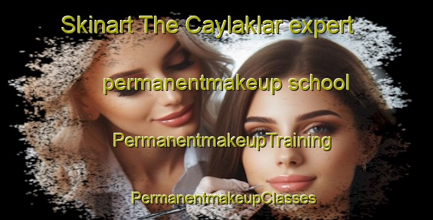 Skinart The Caylaklar expert permanentmakeup school | PermanentmakeupTraining | PermanentmakeupClasses | SkinartTraining-Turkey