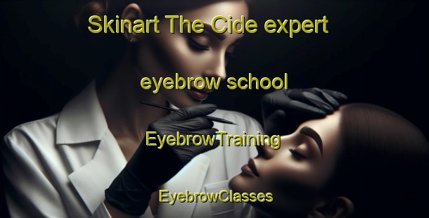 Skinart The Cide expert eyebrow school | EyebrowTraining | EyebrowClasses | SkinartTraining-Turkey