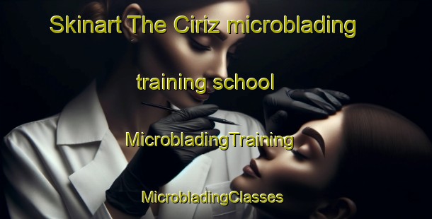 Skinart The Ciriz microblading training school | MicrobladingTraining | MicrobladingClasses | SkinartTraining-Turkey