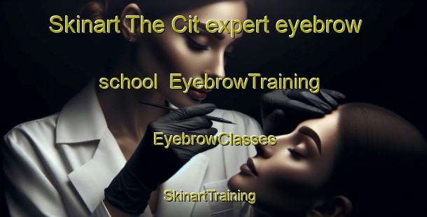 Skinart The Cit expert eyebrow school | EyebrowTraining | EyebrowClasses | SkinartTraining-Turkey
