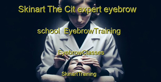 Skinart The Cit expert eyebrow school | EyebrowTraining | EyebrowClasses | SkinartTraining-Turkey