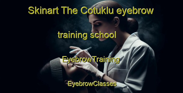 Skinart The Cotuklu eyebrow training school | EyebrowTraining | EyebrowClasses | SkinartTraining-Turkey