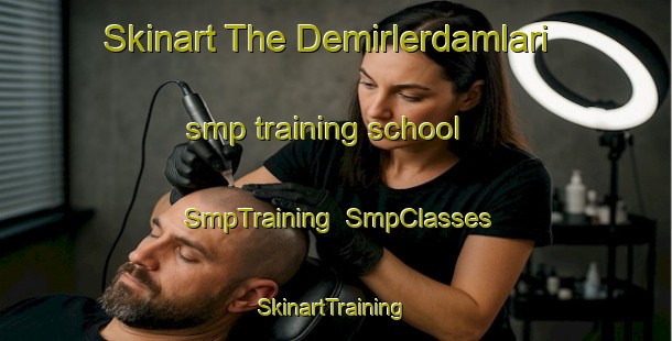 Skinart The Demirlerdamlari smp training school | SmpTraining | SmpClasses | SkinartTraining-Turkey