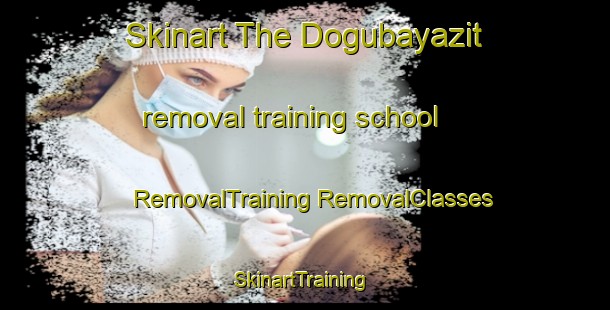 Skinart The Dogubayazit removal training school | #RemovalTraining #RemovalClasses #SkinartTraining-Turkey