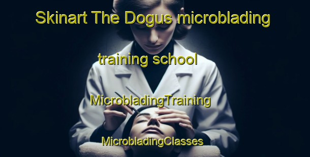 Skinart The Dogus microblading training school | MicrobladingTraining | MicrobladingClasses | SkinartTraining-Turkey