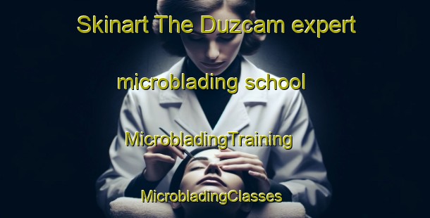 Skinart The Duzcam expert microblading school | MicrobladingTraining | MicrobladingClasses | SkinartTraining-Turkey