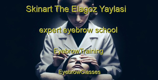 Skinart The Elagoz Yaylasi expert eyebrow school | EyebrowTraining | EyebrowClasses | SkinartTraining-Turkey