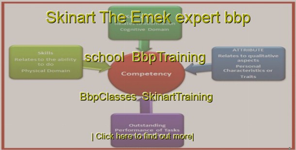 Skinart The Emek expert bbp school | BbpTraining | BbpClasses | SkinartTraining-Turkey