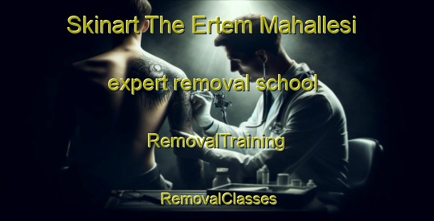 Skinart The Ertem Mahallesi expert removal school | RemovalTraining | RemovalClasses | SkinartTraining-Turkey
