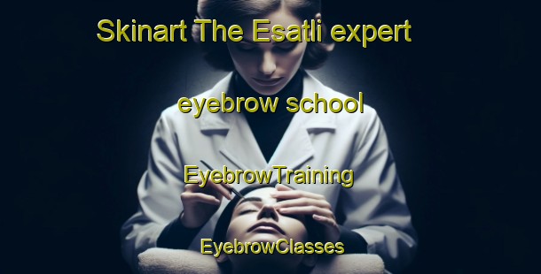 Skinart The Esatli expert eyebrow school | EyebrowTraining | EyebrowClasses | SkinartTraining-Turkey