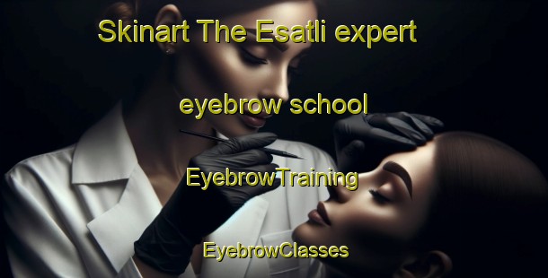 Skinart The Esatli expert eyebrow school | EyebrowTraining | EyebrowClasses | SkinartTraining-Turkey