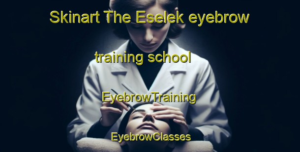 Skinart The Eselek eyebrow training school | EyebrowTraining | EyebrowClasses | SkinartTraining-Turkey