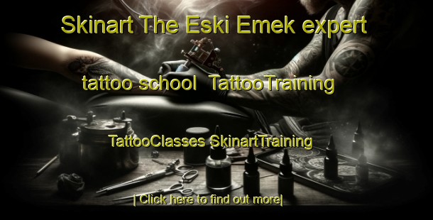 Skinart The Eski Emek expert tattoo school | #TattooTraining #TattooClasses #SkinartTraining-Turkey