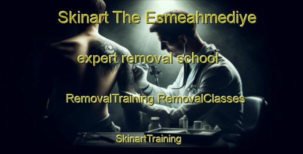 Skinart The Esmeahmediye expert removal school | #RemovalTraining #RemovalClasses #SkinartTraining-Turkey