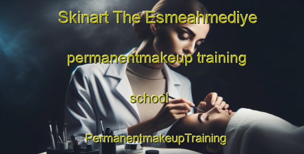 Skinart The Esmeahmediye permanentmakeup training school | PermanentmakeupTraining | PermanentmakeupClasses | SkinartTraining-Turkey