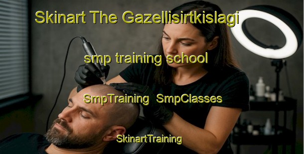 Skinart The Gazellisirtkislagi smp training school | SmpTraining | SmpClasses | SkinartTraining-Turkey