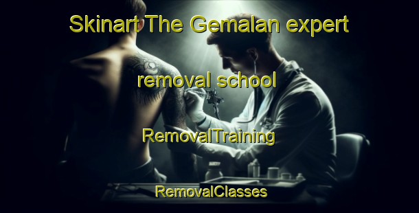 Skinart The Gemalan expert removal school | RemovalTraining | RemovalClasses | SkinartTraining-Turkey