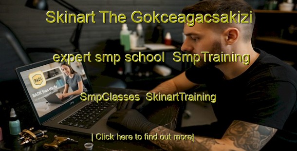 Skinart The Gokceagacsakizi expert smp school | SmpTraining | SmpClasses | SkinartTraining-Turkey