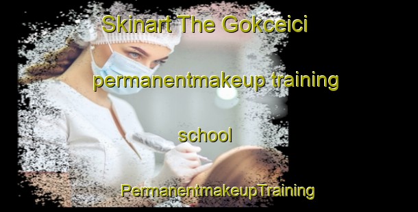 Skinart The Gokceici permanentmakeup training school | #PermanentmakeupTraining #PermanentmakeupClasses #SkinartTraining-Turkey