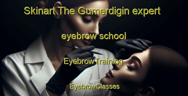 Skinart The Gumerdigin expert eyebrow school | EyebrowTraining | EyebrowClasses | SkinartTraining-Turkey