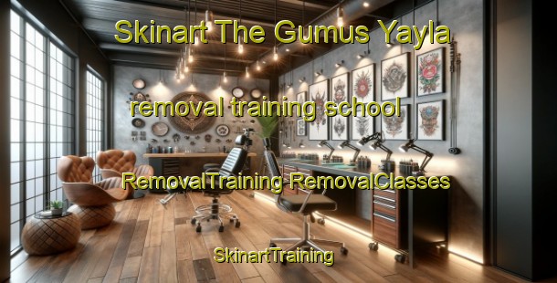 Skinart The Gumus Yayla removal training school | #RemovalTraining #RemovalClasses #SkinartTraining-Turkey