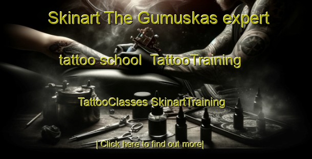 Skinart The Gumuskas expert tattoo school | #TattooTraining #TattooClasses #SkinartTraining-Turkey