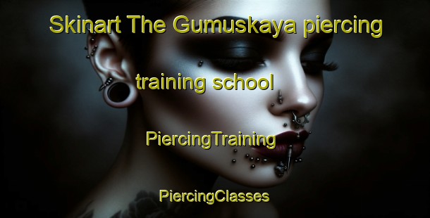 Skinart The Gumuskaya piercing training school | #PiercingTraining #PiercingClasses #SkinartTraining-Turkey