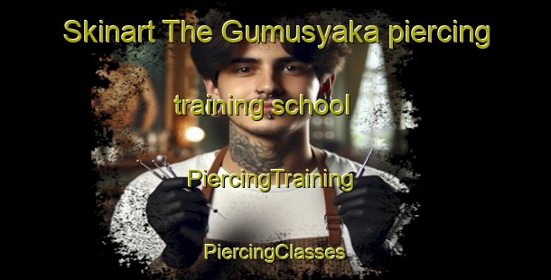 Skinart The Gumusyaka piercing training school | #PiercingTraining #PiercingClasses #SkinartTraining-Turkey