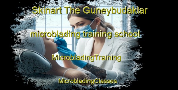 Skinart The Guneybudaklar microblading training school | MicrobladingTraining | MicrobladingClasses | SkinartTraining-Turkey