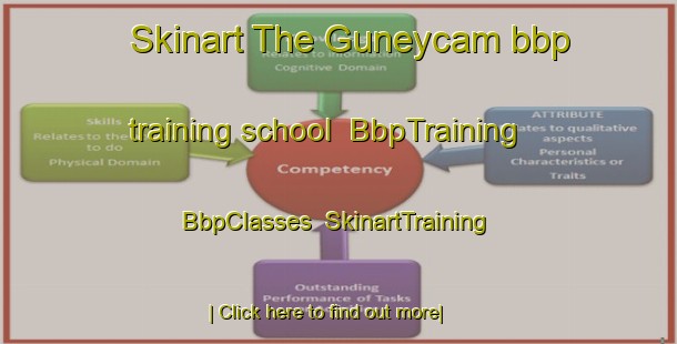 Skinart The Guneycam bbp training school | BbpTraining | BbpClasses | SkinartTraining-Turkey