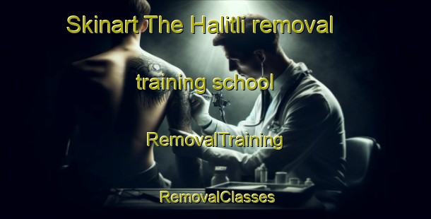 Skinart The Halitli removal training school | RemovalTraining | RemovalClasses | SkinartTraining-Turkey