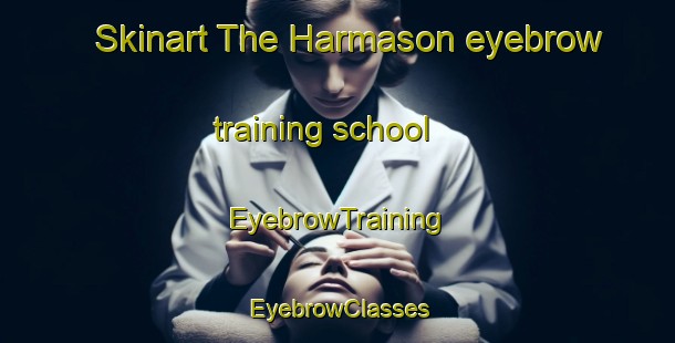 Skinart The Harmason eyebrow training school | EyebrowTraining | EyebrowClasses | SkinartTraining-Turkey