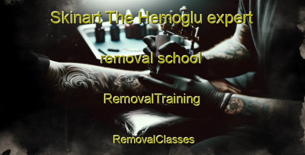 Skinart The Hemoglu expert removal school | RemovalTraining | RemovalClasses | SkinartTraining-Turkey