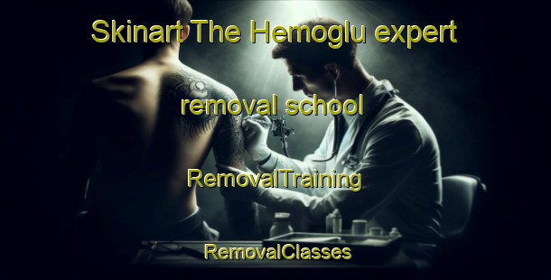 Skinart The Hemoglu expert removal school | RemovalTraining | RemovalClasses | SkinartTraining-Turkey