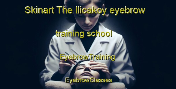 Skinart The Ilicakoy eyebrow training school | EyebrowTraining | EyebrowClasses | SkinartTraining-Turkey