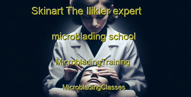 Skinart The Ilikler expert microblading school | MicrobladingTraining | MicrobladingClasses | SkinartTraining-Turkey