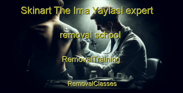 Skinart The Ima Yaylasi expert removal school | RemovalTraining | RemovalClasses | SkinartTraining-Turkey