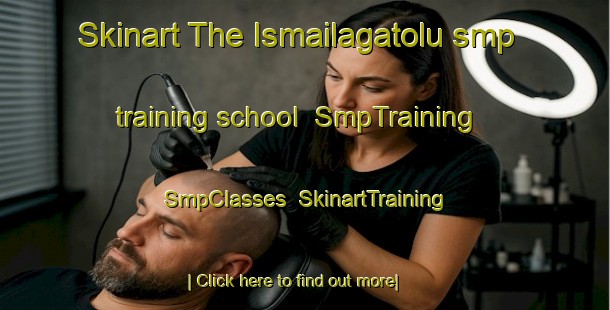 Skinart The Ismailagatolu smp training school | SmpTraining | SmpClasses | SkinartTraining-Turkey