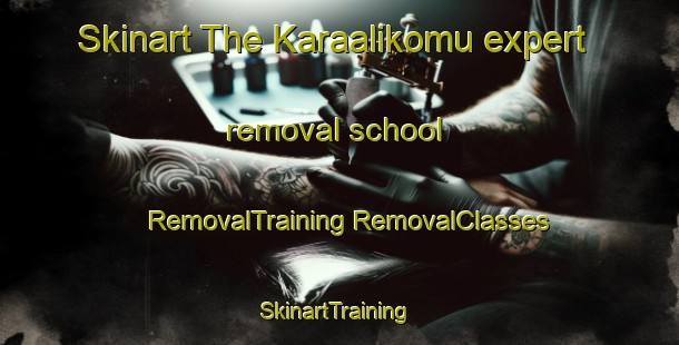 Skinart The Karaalikomu expert removal school | #RemovalTraining #RemovalClasses #SkinartTraining-Turkey