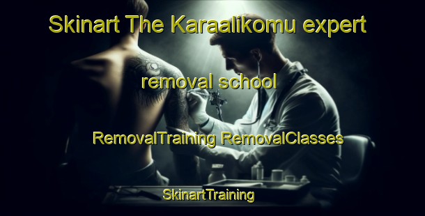 Skinart The Karaalikomu expert removal school | #RemovalTraining #RemovalClasses #SkinartTraining-Turkey