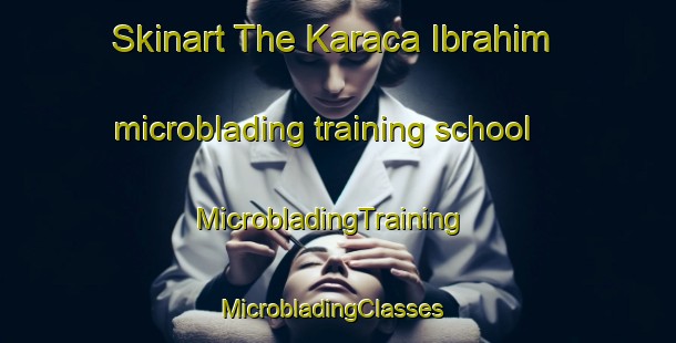 Skinart The Karaca Ibrahim microblading training school | MicrobladingTraining | MicrobladingClasses | SkinartTraining-Turkey
