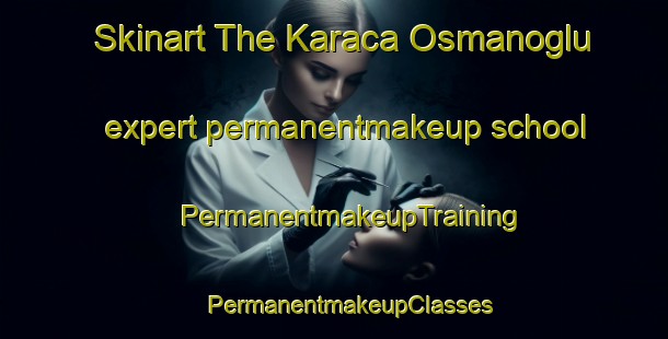 Skinart The Karaca Osmanoglu expert permanentmakeup school | #PermanentmakeupTraining #PermanentmakeupClasses #SkinartTraining-Turkey