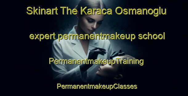 Skinart The Karaca Osmanoglu expert permanentmakeup school | PermanentmakeupTraining | PermanentmakeupClasses | SkinartTraining-Turkey