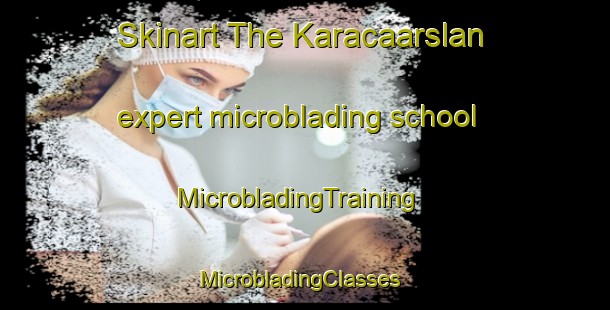 Skinart The Karacaarslan expert microblading school | MicrobladingTraining | MicrobladingClasses | SkinartTraining-Turkey
