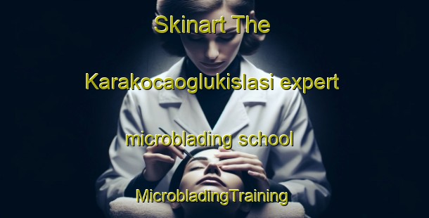 Skinart The Karakocaoglukislasi expert microblading school | #MicrobladingTraining #MicrobladingClasses #SkinartTraining-Turkey