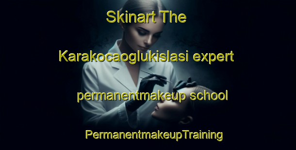 Skinart The Karakocaoglukislasi expert permanentmakeup school | #PermanentmakeupTraining #PermanentmakeupClasses #SkinartTraining-Turkey