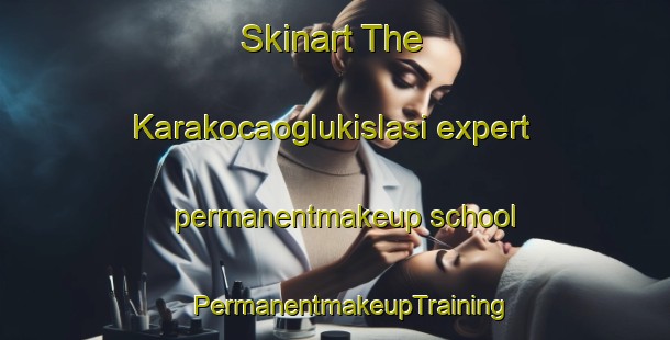 Skinart The Karakocaoglukislasi expert permanentmakeup school | #PermanentmakeupTraining #PermanentmakeupClasses #SkinartTraining-Turkey