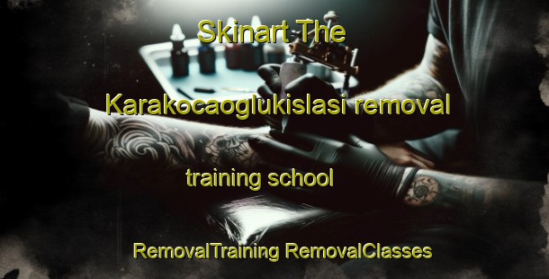 Skinart The Karakocaoglukislasi removal training school | #RemovalTraining #RemovalClasses #SkinartTraining-Turkey